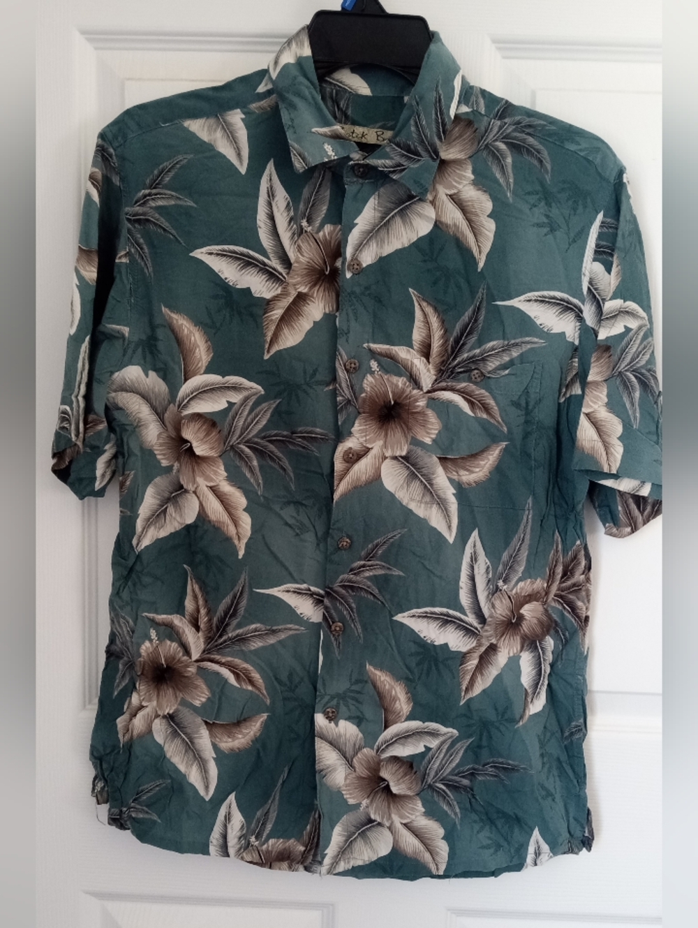 Men's Teal Floral Short-Sleeve Button-Down Shirt